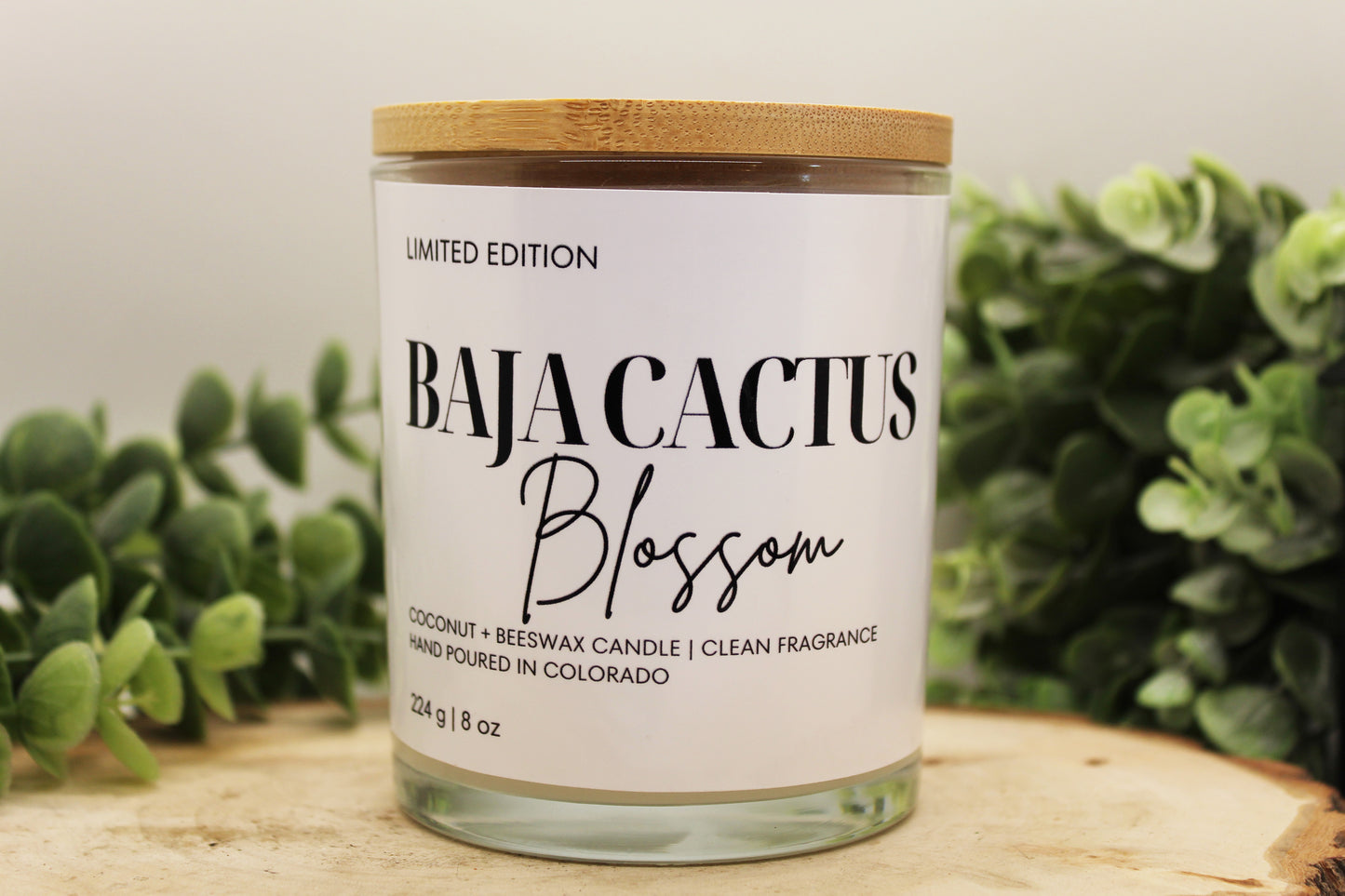 Baja Cactus Blossom Scented Candle