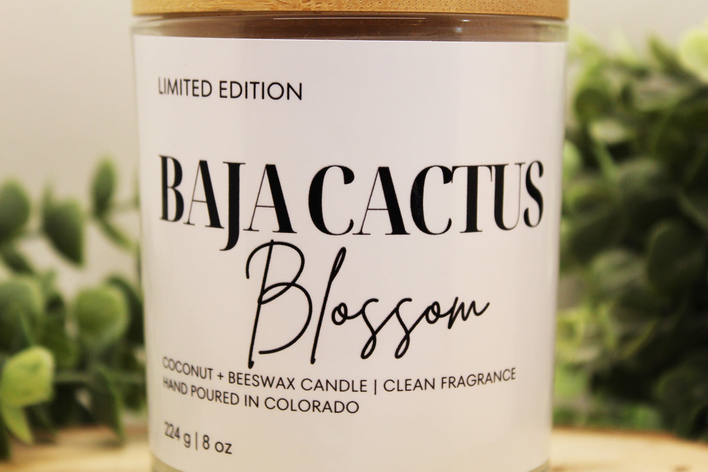 Baja Cactus Blossom Scented Candle