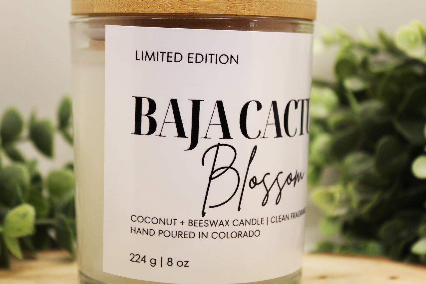 Baja Cactus Blossom Scented Candle